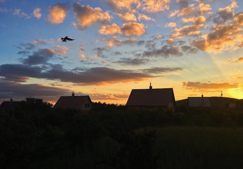 Безкоштовне стокове фото на тему «будинки, гарний захід сонця, золоте небо»