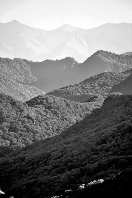 Grayscale Photo of Mountains 