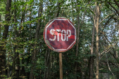 Free Red and White Stop Road Signage Stock Photo