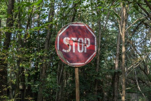 Free An old and rusty stop sign in a wooded area, surrounded by lush trees. Stock Photo