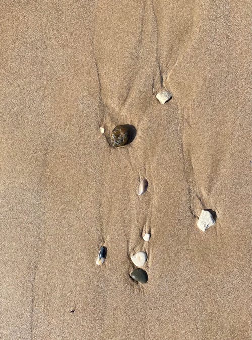 Shells on a Sand 