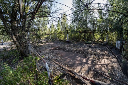 Gratuit Imagine de stoc gratuită din abandonat, arbori, călătorie Fotografie de stoc