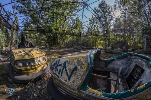 Free Eerie scene of abandoned bumper cars in a desolate, overgrown amusement park. Stock Photo