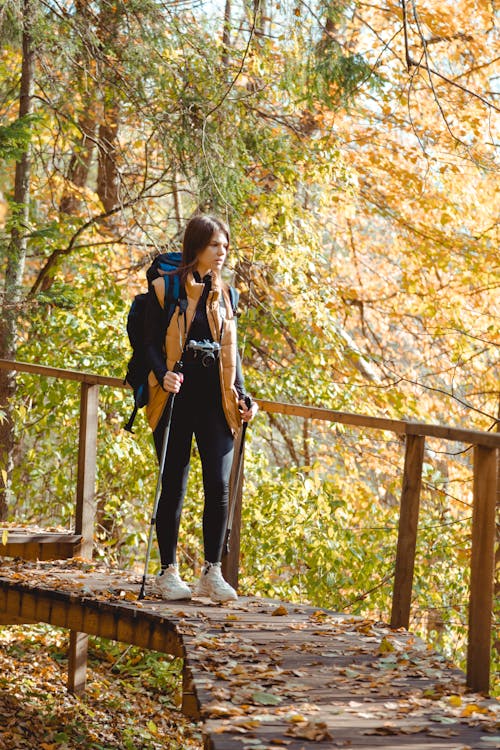 Woman Walking on Wooden Bridge Holding Hiking Stick