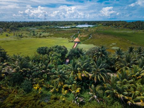 Scenic aerial view of tropical wetlands and wooden bridge in Fuvahmulah, Maldives.