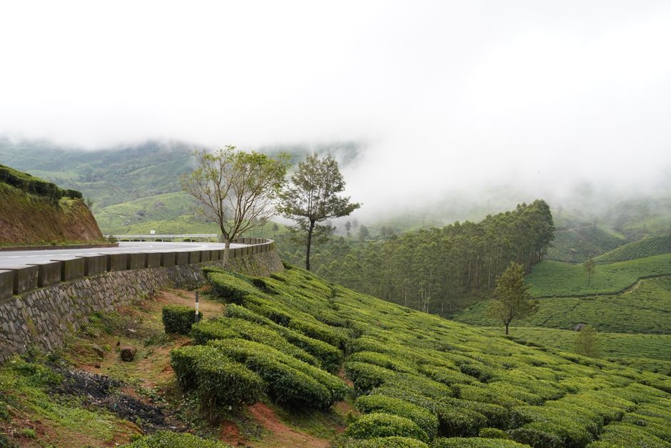 Lockhart Tea Museum