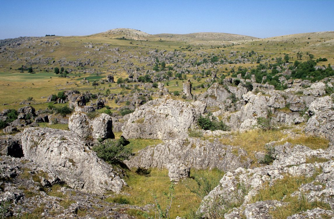Gray Rock Formations on Green Grass Field Under Blue Sky · Free Stock Photo