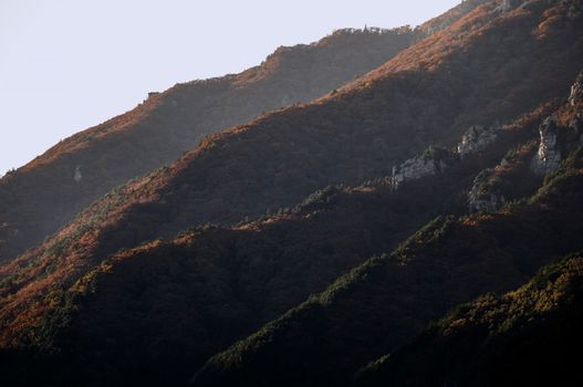 Serene view of autumn foliage on mountain slopes under soft sunlight, capturing nature's tranquility.