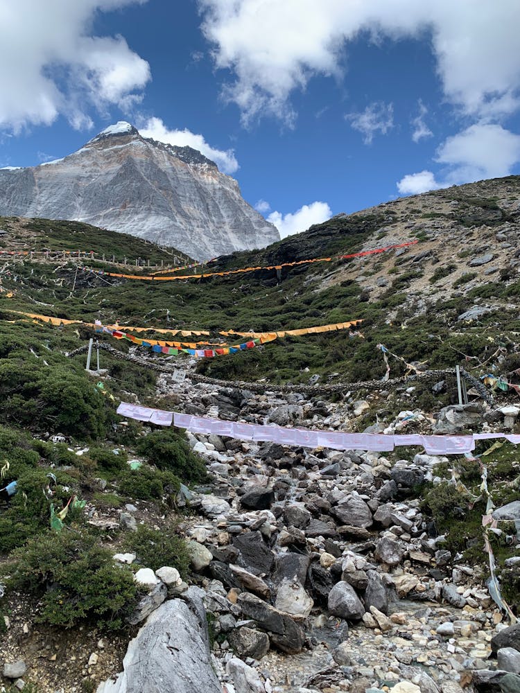 Pennants On The Side Of A Mountain 