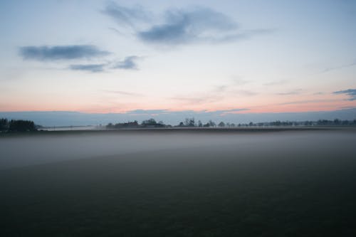 Fotobanka s bezplatnými fotkami na tému hmla, hracie pole, krajina