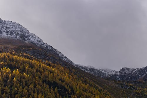 Gratis stockfoto met Alpen, berg, bomen