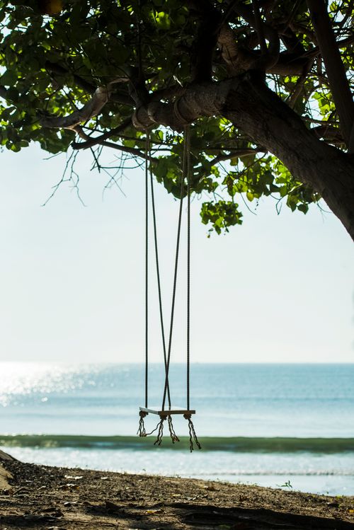 Free A serene swing hung from a tree on a sunny beach, perfect for relaxation and tranquility. Stock Photo