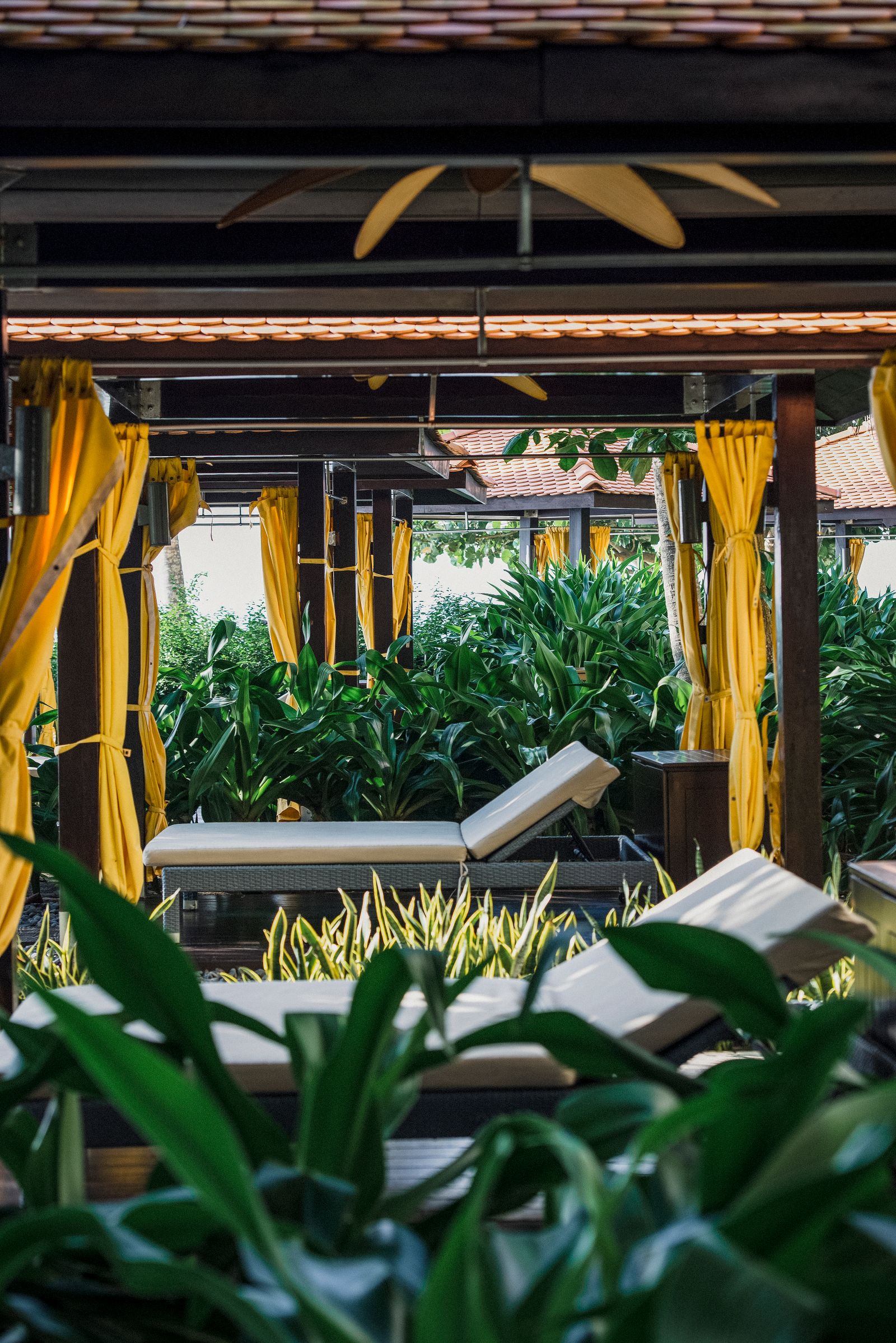 Wellness and spa in a tropical setting