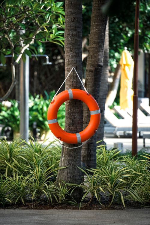 Free A bright orange lifebuoy hangs on a palm tree, set against a tropical backdrop of lush greenery. Stock Photo