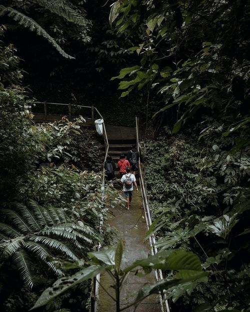 Free People walking on a lush forest path in Bangli, Bali, Indonesia. Stock Photo