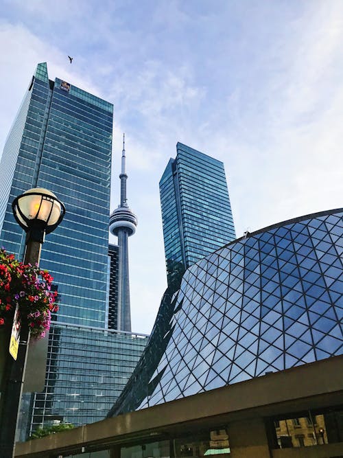 Mirror Windowed High Rise Buildings at Day