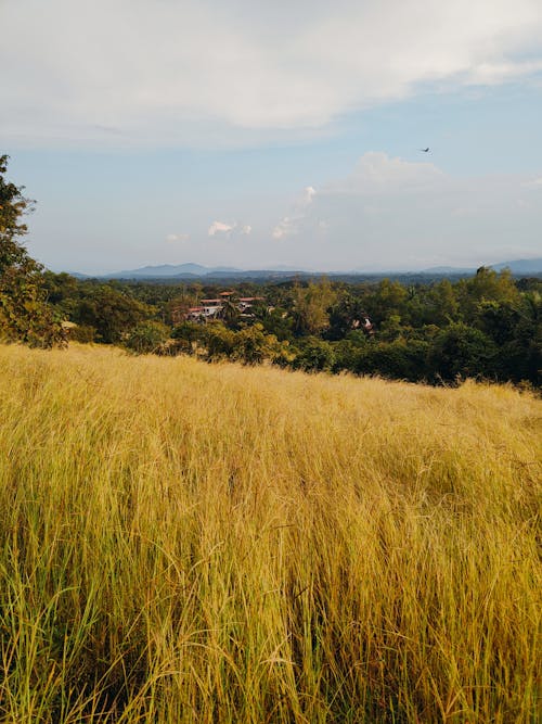 Kostnadsfri bild av landsbygden, landskap, lantlig