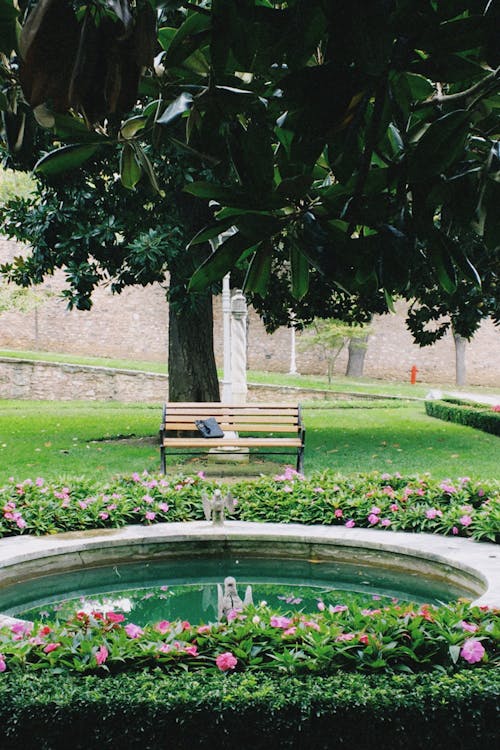 Green Grass Field With Trees and a Fountain