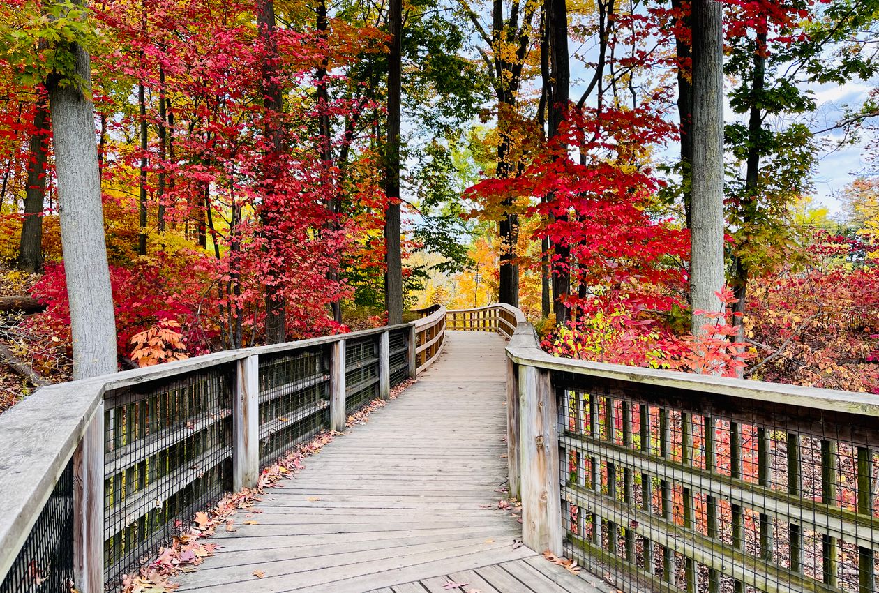 Granite Ridges and Silent Valleys: An Immersive Autumn Hike Through the Lynn Woods Reservation
