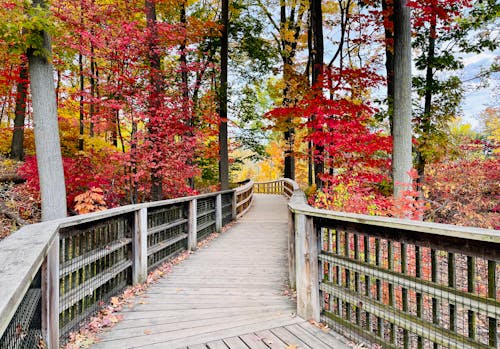 November Hikes: Where to Catch the Best Late-Fall Views Before Snow