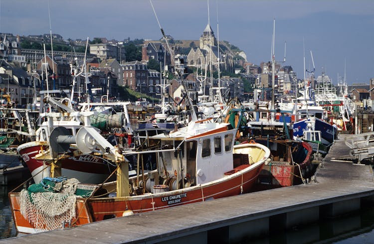 Boats At The Port In Normandie