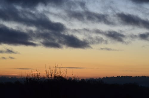 Foto profissional grátis de água, árvore, ascensão do sol