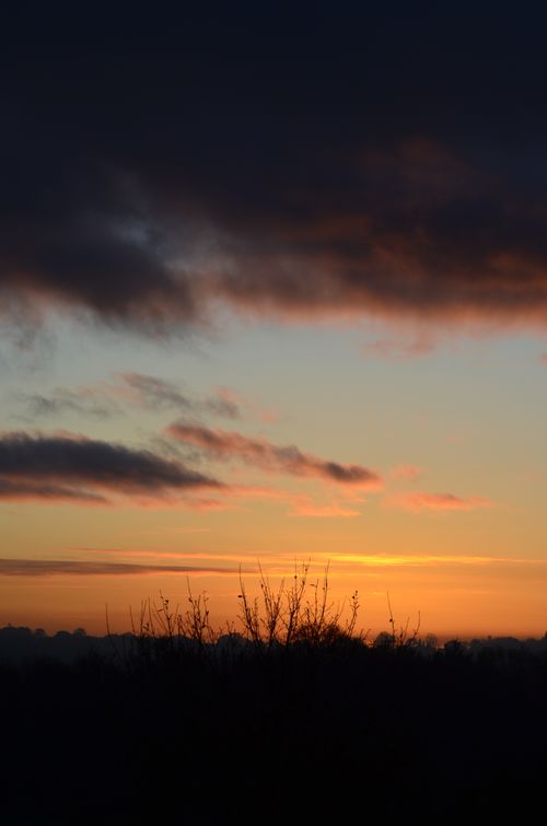 Free Golden sunset with silhouetted trees and dramatic cloud formation. Stock Photo