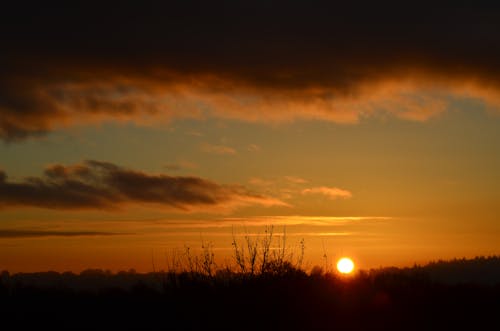 Foto profissional grátis de água, árvore, ascensão do sol