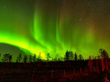 Captivating view of the aurora borealis lighting up the night sky in Ylläsjärvi, Finland.