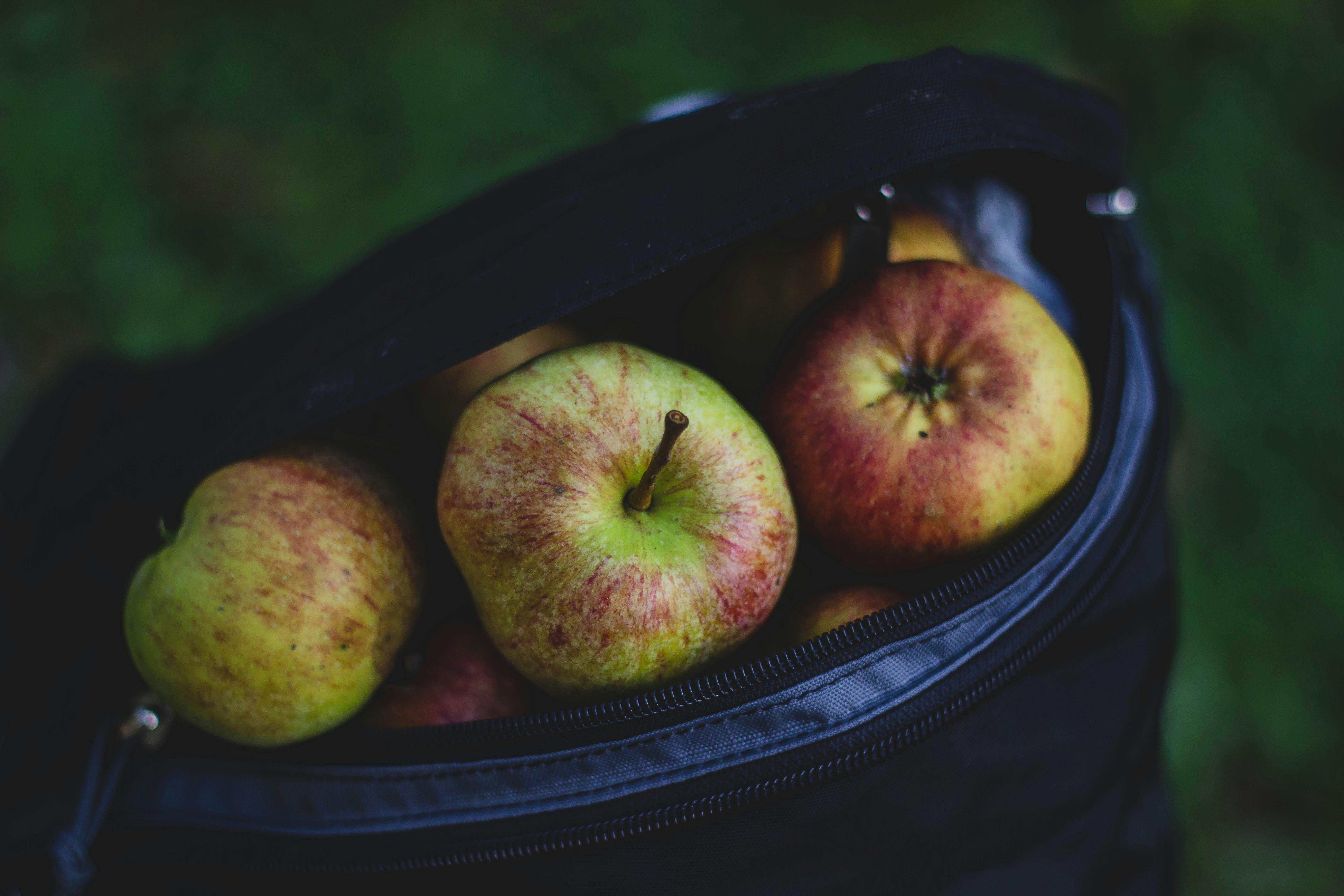 Bunch of Apples in Bag · Free Stock Photo