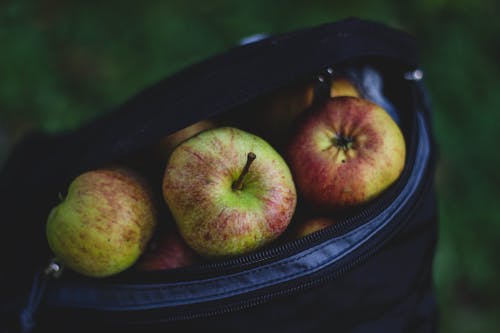 бесплатная Букет яблок в сумке Стоковое фото