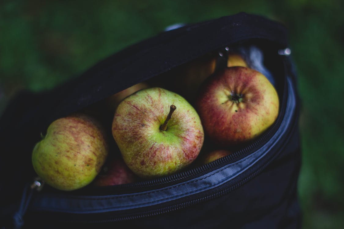 бесплатная Букет яблок в сумке Стоковое фото