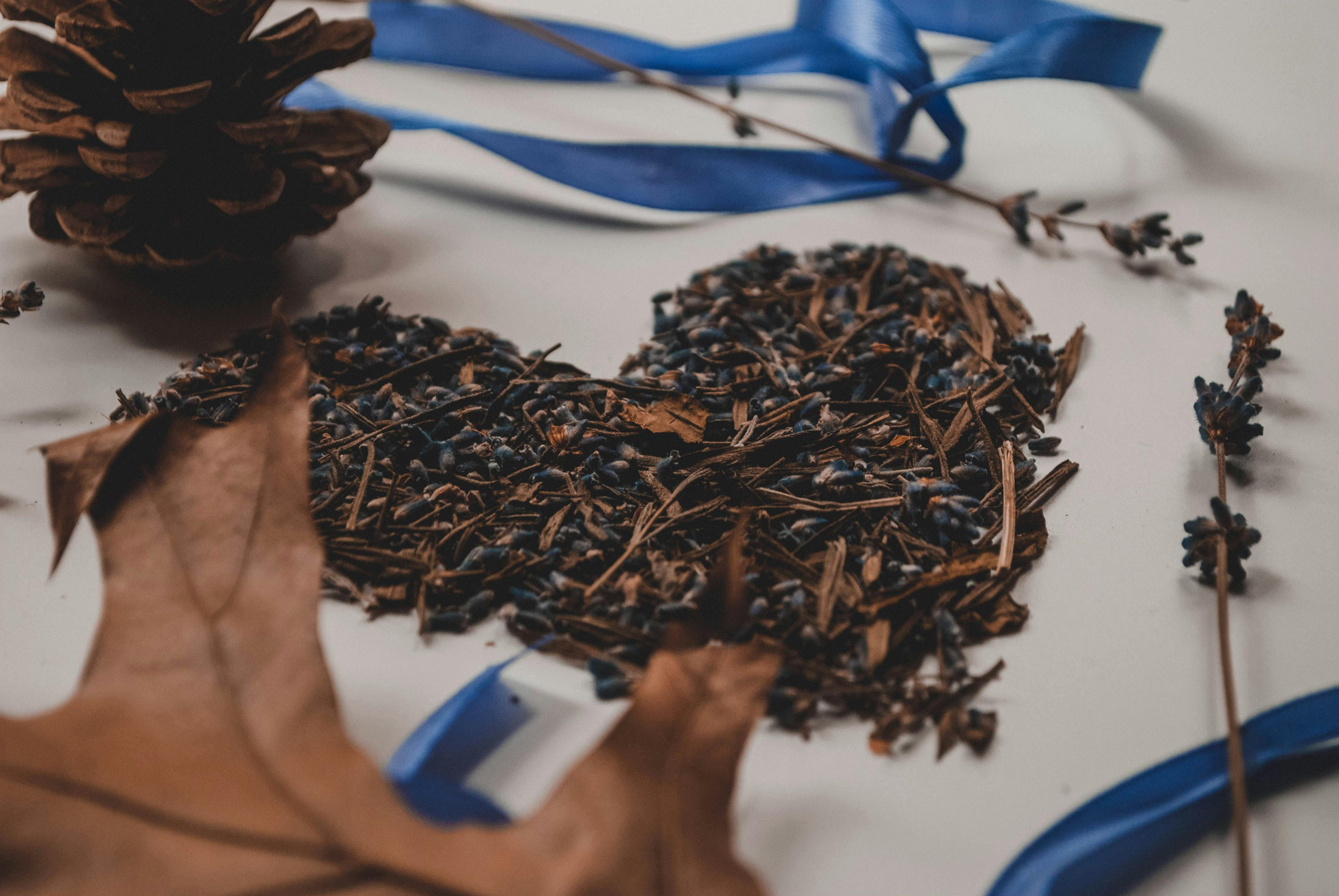 Dried Leaves · Free Stock Photo