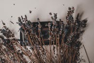 质朴的布置以干燥薰衣草树枝中的经典相机为特色，营造出一种艺术展示的氛围