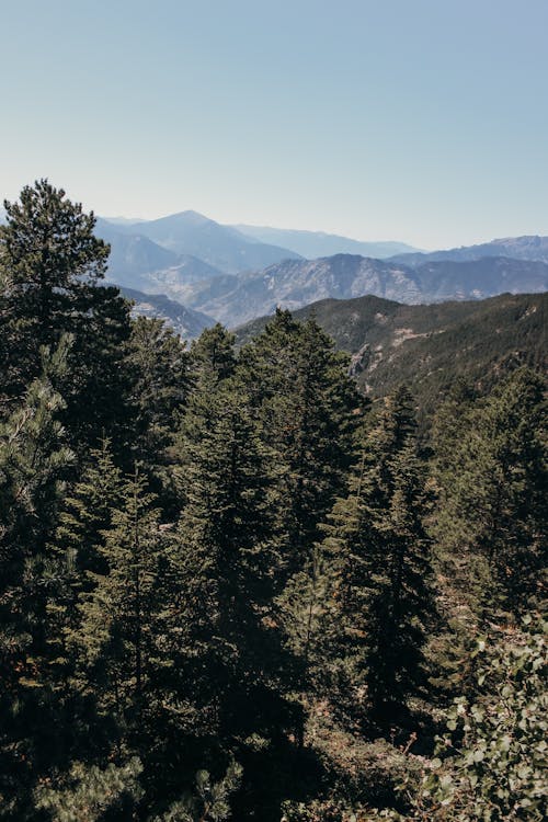 Photos gratuites de arbres, chaînes de montagnes, ciel bleu