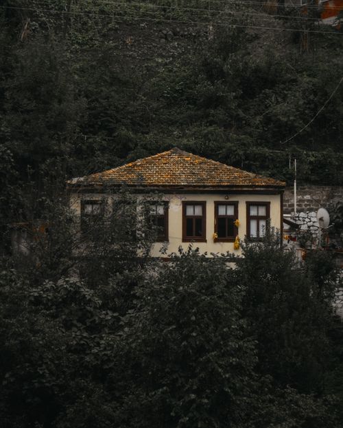 Free A quaint rustic house nestled in lush greenery, showcasing timeless architecture. Stock Photo