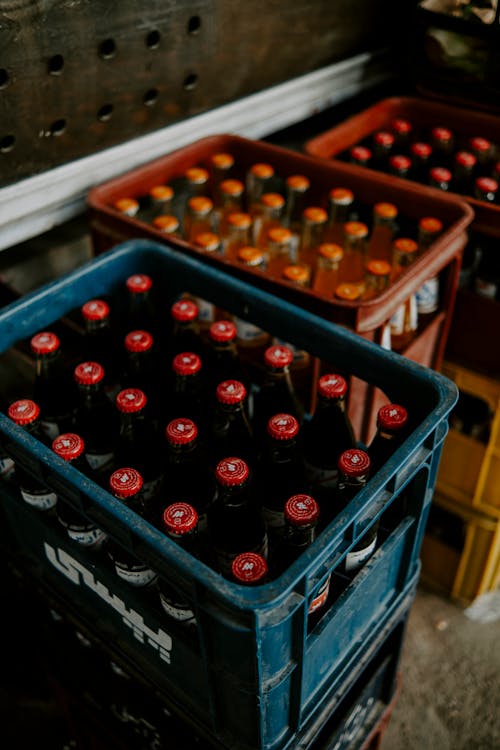 Beer Bottles in Plastic Crates