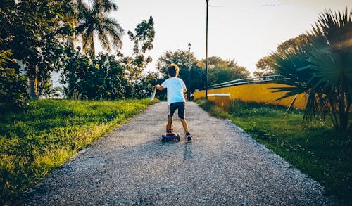 Fotos de stock gratuitas de divertido, familia, parque