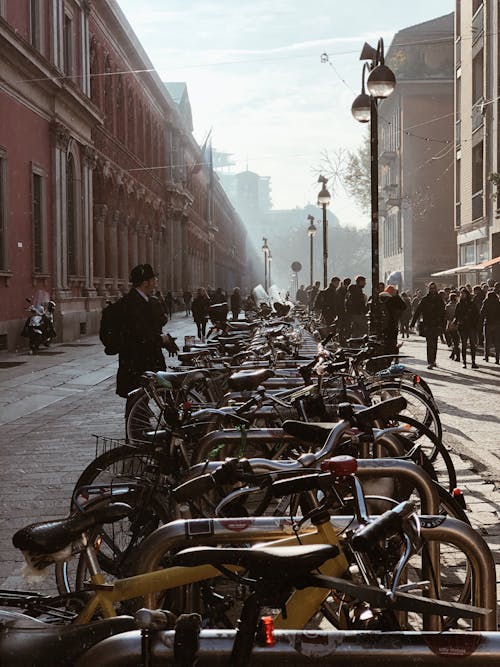 Bicycles in a Bicycle Parking Rack in a City 