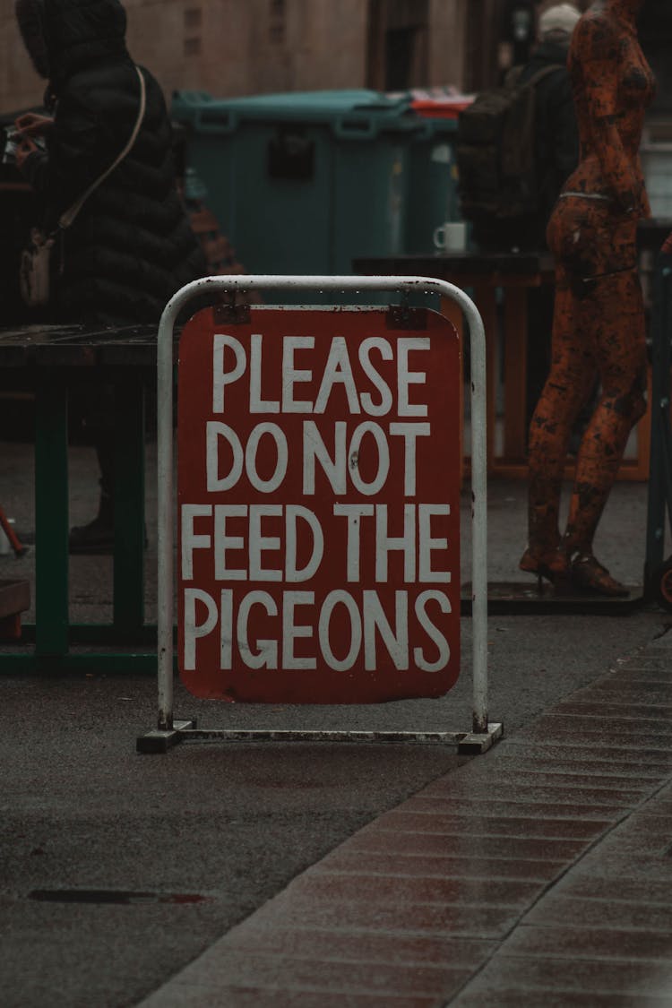 Ban On Feeding Pigeons On Street