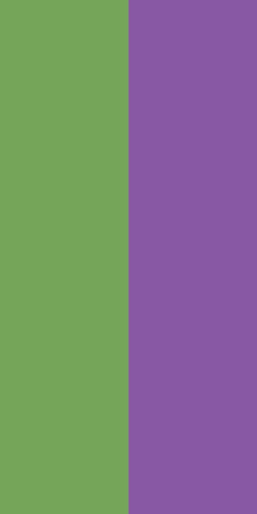 Green Purple - iPhone Dual Tone Wallpaper