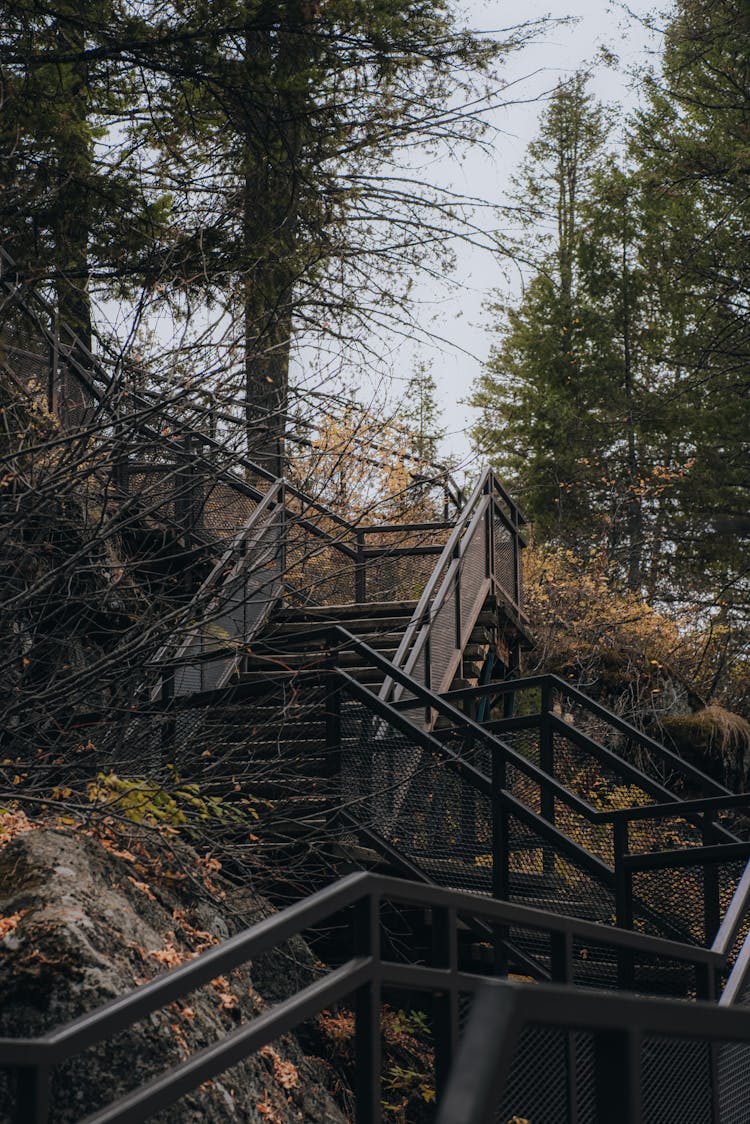 Staircase Beside The Trees