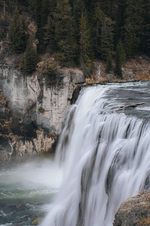 Foto profissional grátis de cachoeira, coníferas, floresta