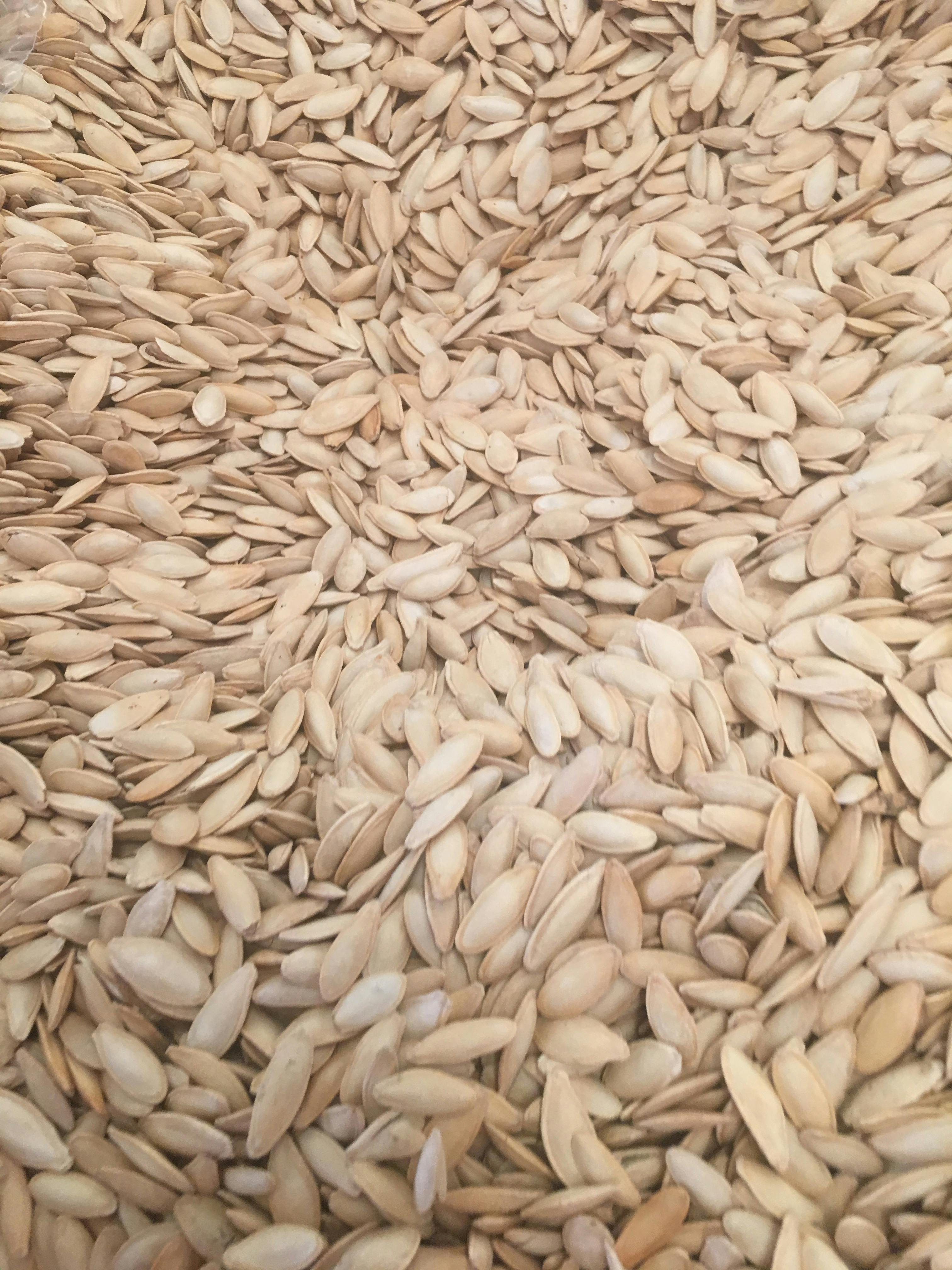 Free stock photo of sunflower seeds