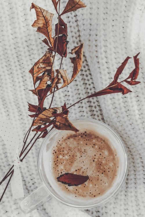 Free Foamy coffee in a glass cup surrounded by knitted fabric and autumn leaves for a cozy seasonal feel. Stock Photo