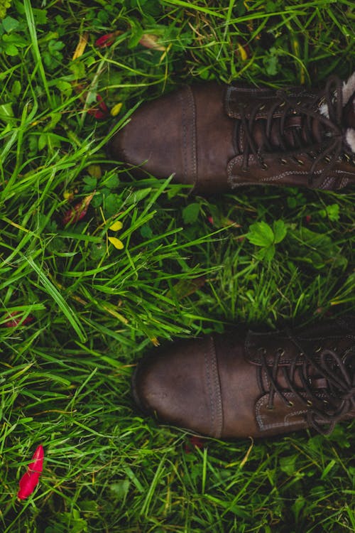Free Person Showing Pair of Brown Low-top Shoes Stock Photo