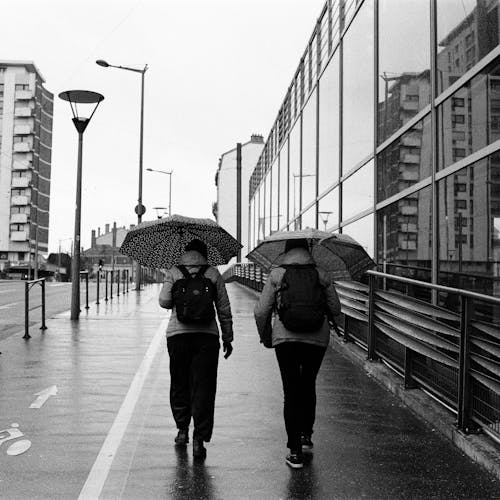 下雨, 人行道, 單色 的 免費圖庫相片