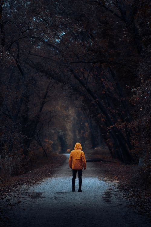 Free Rear view of person in yellow jacket walking through dark autumn forest path. Stock Photo
