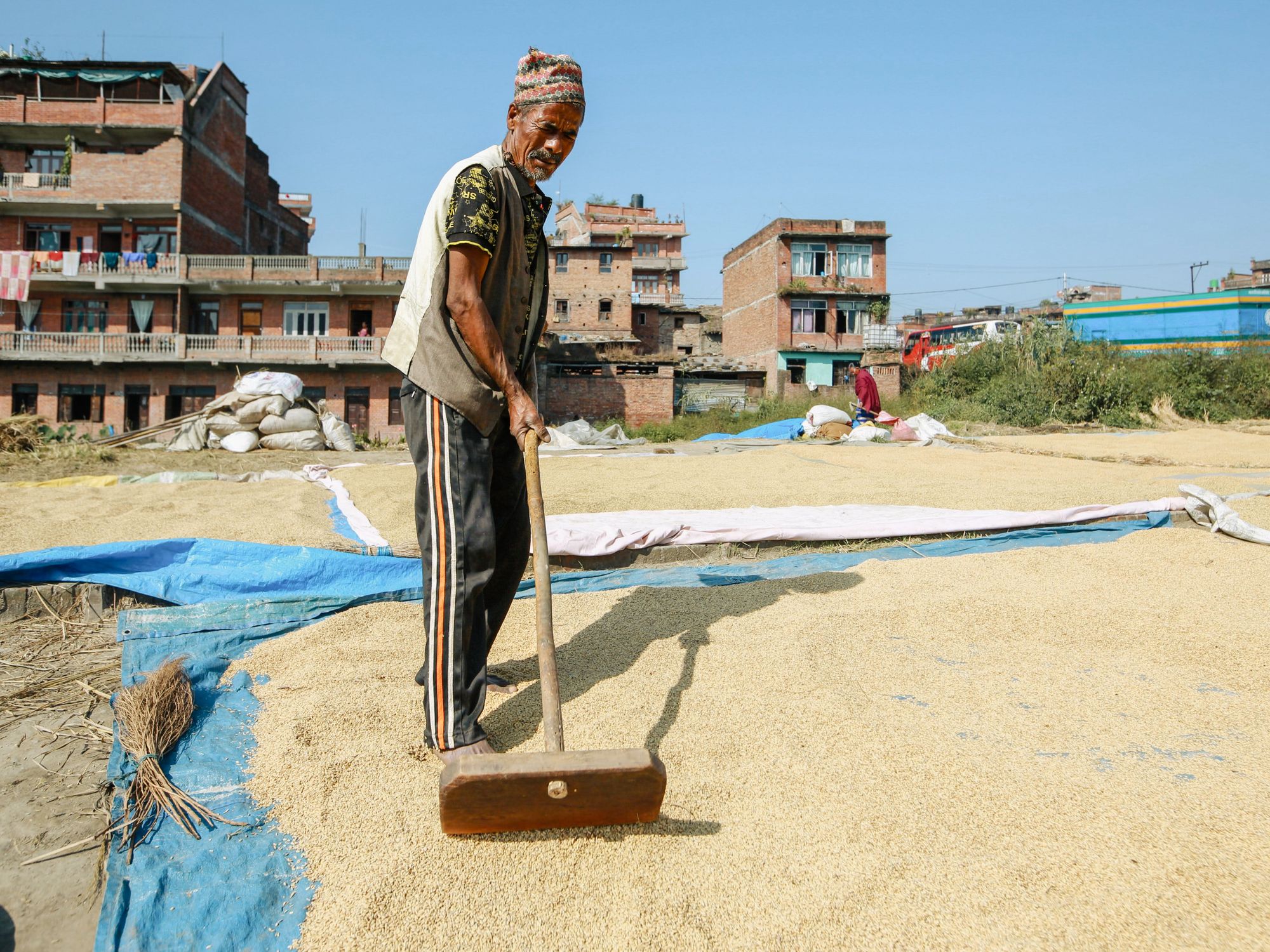 Man Sum A Man Sum Drying Harvested Crops · Free Stock Photo