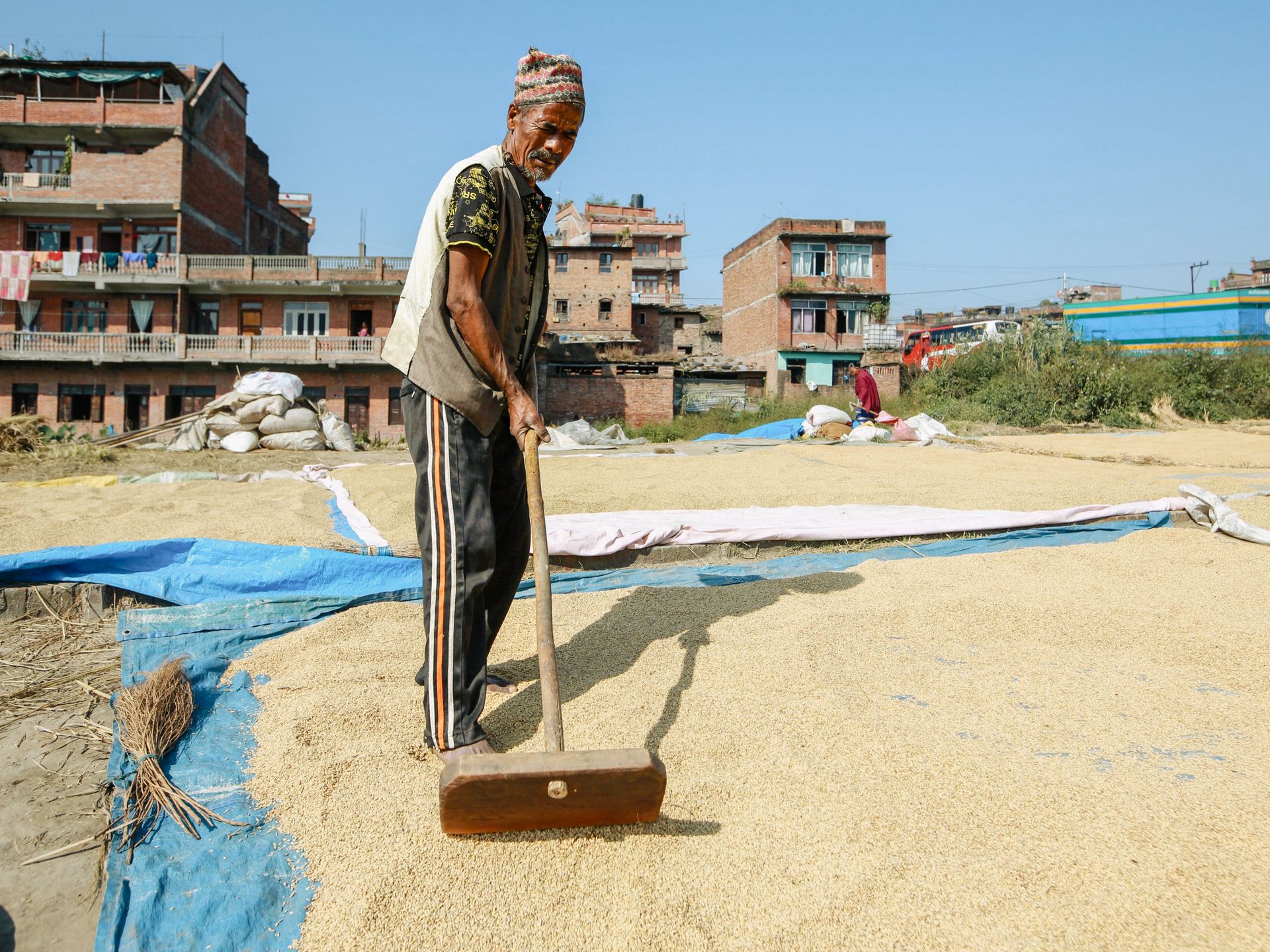 A farmer spreads grains to sun dry in a rural area, with brick buildings in the background.